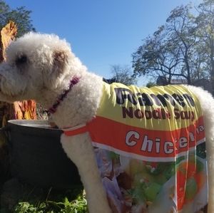 Large Dog Ramen Noodle Costume